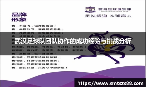 武汉足球队团队协作的成功经验与挑战分析