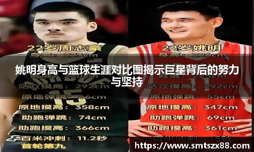 姚明身高与篮球生涯对比图揭示巨星背后的努力与坚持